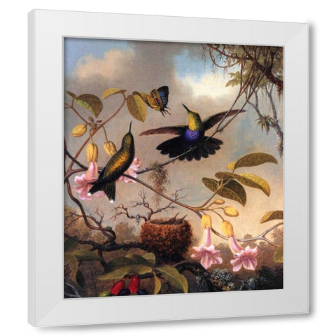 Fork Tailed Woodnymph White Modern Wood Framed Art Print by Heade, Martin Johnson