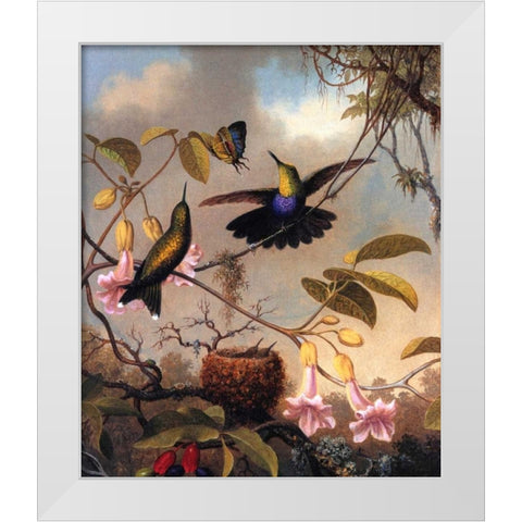 Fork Tailed Woodnymph White Modern Wood Framed Art Print by Heade, Martin Johnson