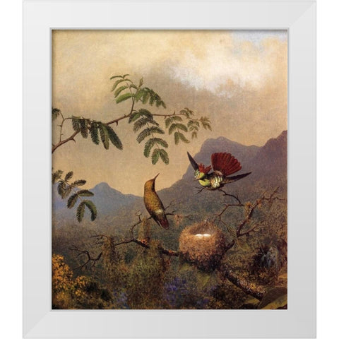Frilled Coquette White Modern Wood Framed Art Print by Heade, Martin Johnson