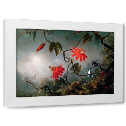 Passion Flowers And Hummingbirds White Modern Wood Framed Art Print by Heade, Martin Johnson