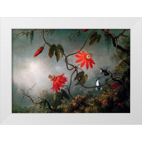 Passion Flowers And Hummingbirds White Modern Wood Framed Art Print by Heade, Martin Johnson