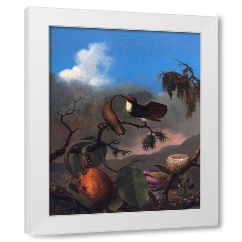 Ruby Topaz White Modern Wood Framed Art Print by Heade, Martin Johnson