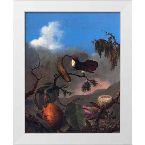 Ruby Topaz White Modern Wood Framed Art Print by Heade, Martin Johnson