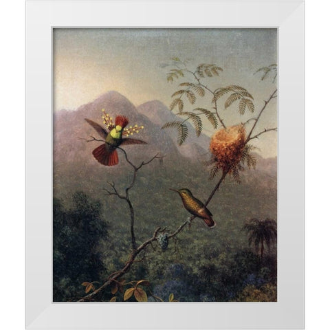 Tufted Coquette White Modern Wood Framed Art Print by Heade, Martin Johnson