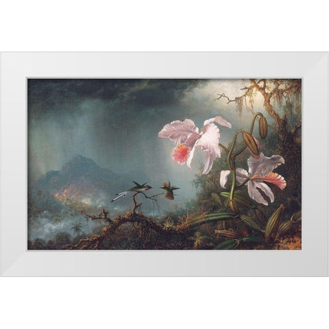 Two Fighting Hummingbirds With Two Orchids White Modern Wood Framed Art Print by Heade, Martin Johnson