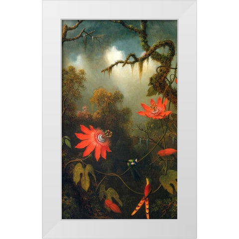 Two Hummingbirds Perched On Passion Flower Vines White Modern Wood Framed Art Print by Heade, Martin Johnson