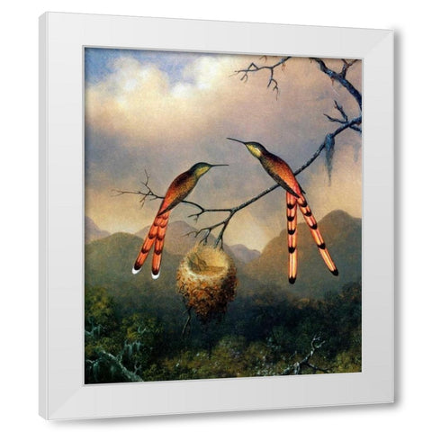 Two Hummingbirds With Their Young White Modern Wood Framed Art Print by Heade, Martin Johnson
