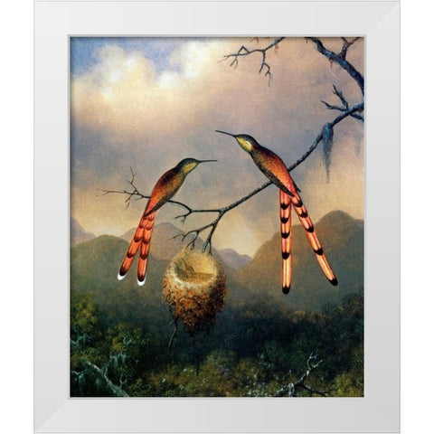 Two Hummingbirds With Their Young White Modern Wood Framed Art Print by Heade, Martin Johnson