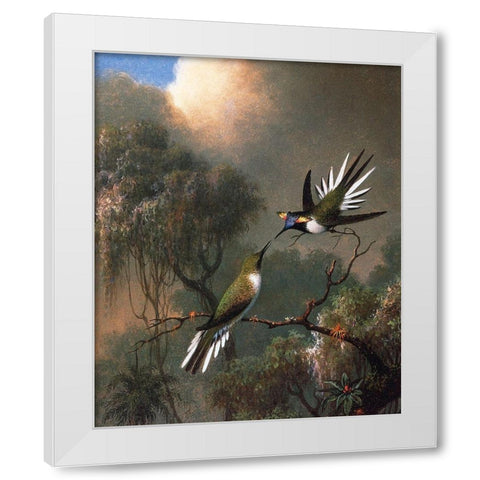 Two Sun Gems On A Branch White Modern Wood Framed Art Print by Heade, Martin Johnson