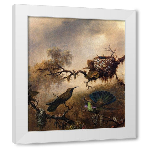 White Vented Violet Ear White Modern Wood Framed Art Print by Heade, Martin Johnson