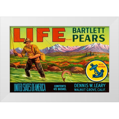 Life Brand Bartlett Pears White Modern Wood Framed Art Print by Retrolabel