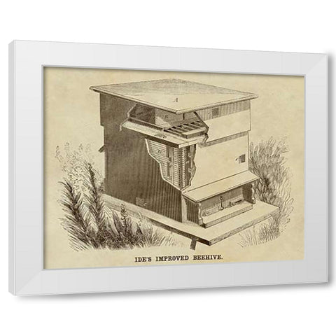 Ides Improved Beehive White Modern Wood Framed Art Print by Inventions