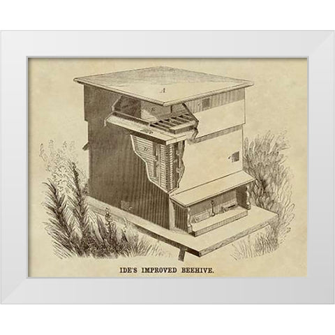Ides Improved Beehive White Modern Wood Framed Art Print by Inventions