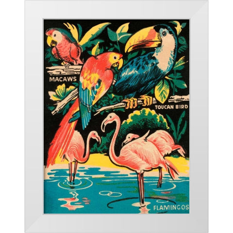 Tropical Hobbyland - Birds White Modern Wood Framed Art Print by Retrotravel