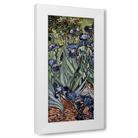 Irises (center) White Modern Wood Framed Art Print by Van Gogh, Vincent