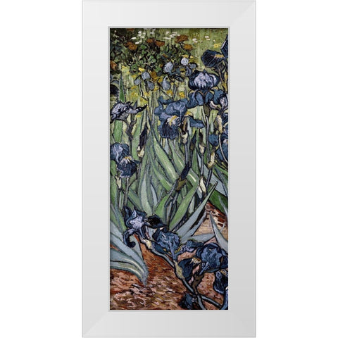 Irises (center) White Modern Wood Framed Art Print by Van Gogh, Vincent