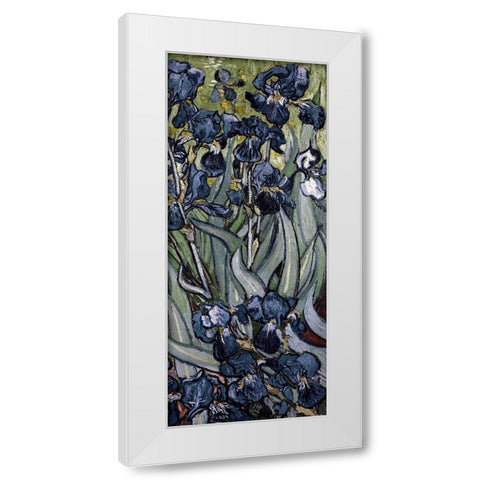 Irises (right) White Modern Wood Framed Art Print by Van Gogh, Vincent