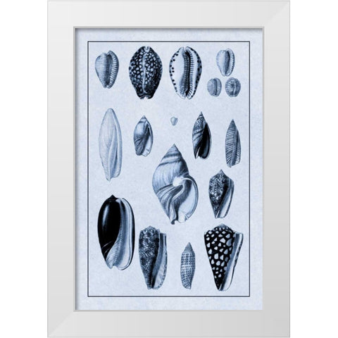 Shells: Convoltae and Orthocerata (Blue) White Modern Wood Framed Art Print by Sowerby, G.B.