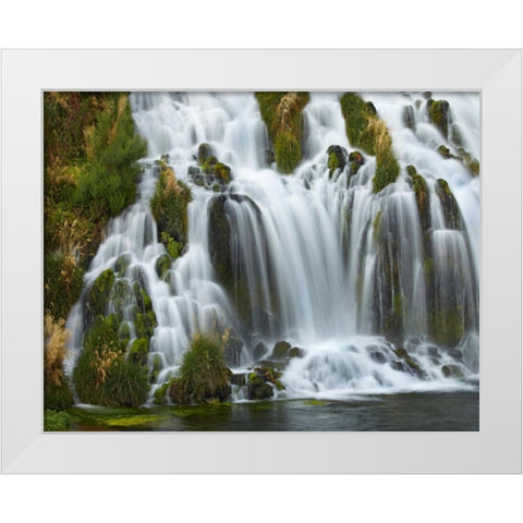 Waterfall, Niagara Springs, Thousand Springs State Park, Idaho. White Modern Wood Framed Art Print by Fitzharris, Tim