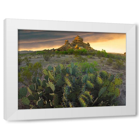 Opuntia and hoodoos, Big Bend National Park, Chihuahuan Desert, Texas White Modern Wood Framed Art Print by Fitzharris, Tim