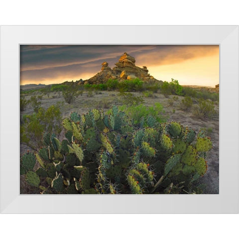 Opuntia and hoodoos, Big Bend National Park, Chihuahuan Desert, Texas White Modern Wood Framed Art Print by Fitzharris, Tim