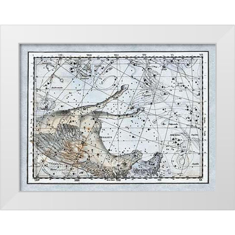 Maps of the Heavens: Pegasus the Horse White Modern Wood Framed Art Print by Jamieson, Alexander