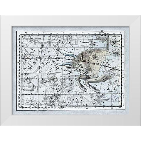 Maps of the Heavens: Taurus the Bull White Modern Wood Framed Art Print by Jamieson, Alexander