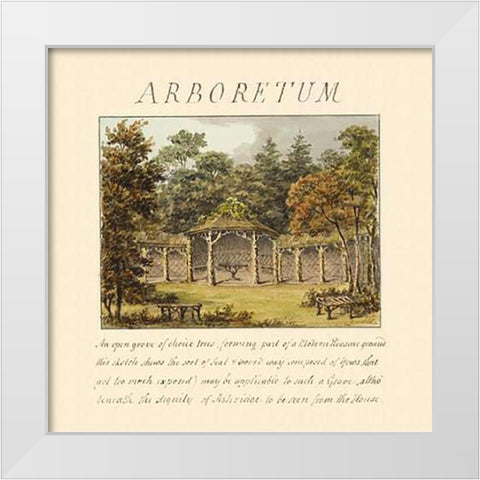 Arboretum, 1813 White Modern Wood Framed Art Print by Repton, Humphry