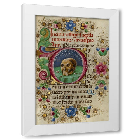 Initial D: A Skull in a Rocky Field White Modern Wood Framed Art Print by Crivetti, Taddeo