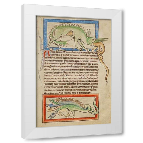 A Hydrus; A Hydra White Modern Wood Framed Art Print by English 13th Century