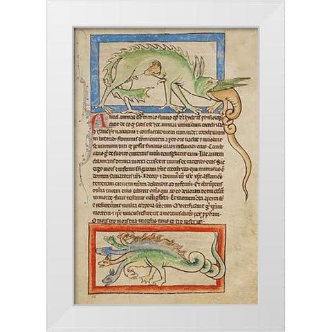 A Hydrus; A Hydra White Modern Wood Framed Art Print by English 13th Century