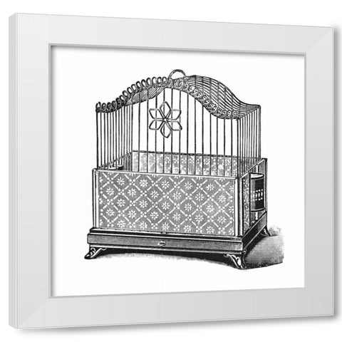 Etchings: Birdcage - Flower detail. White Modern Wood Framed Art Print by Catalog Illustration