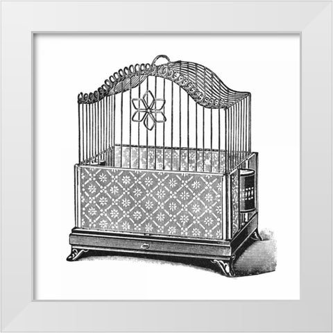 Etchings: Birdcage - Flower detail. White Modern Wood Framed Art Print by Catalog Illustration