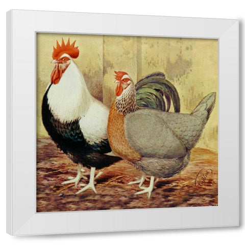 Chickens: Silver-Grey Dorkings White Modern Wood Framed Art Print by Wright, Lewis