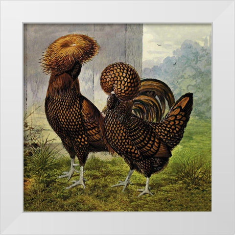 Chickens: Gold Spangled Polish White Modern Wood Framed Art Print by Wright, Lewis