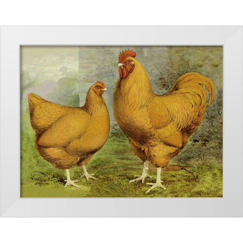 Chickens: Buff Orpingtons White Modern Wood Framed Art Print by Wright, Lewis
