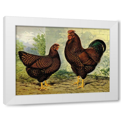 Chickens: Golden Wyandottes White Modern Wood Framed Art Print by Wright, Lewis