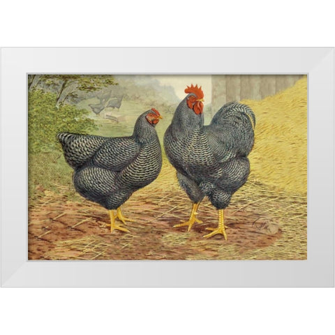 Chickens: Plymouth Rocks White Modern Wood Framed Art Print by Wright, Lewis