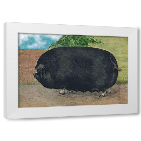 Pigs and Pork: Champion Sow White Modern Wood Framed Art Print by Advertisement