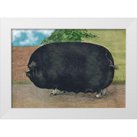 Pigs and Pork: Champion Sow White Modern Wood Framed Art Print by Advertisement
