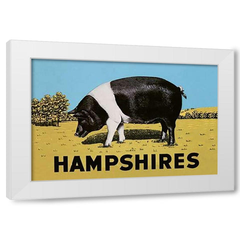 Pigs and Pork: Hampshires White Modern Wood Framed Art Print by Advertisement