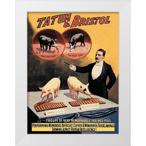 Pigs and Pork: Tatum and Bristols Troupe of Trained Pigs White Modern Wood Framed Art Print by Advertisement