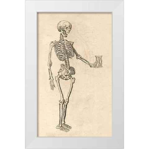 Human Skeleton with Hourglass White Modern Wood Framed Art Print by Bauhin, Caspar