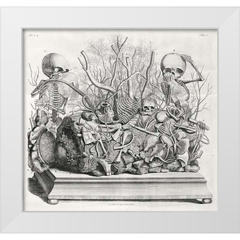 Diorama of fetal skeletons arranged with various internal organs White Modern Wood Framed Art Print by Huyberts, Cornelis