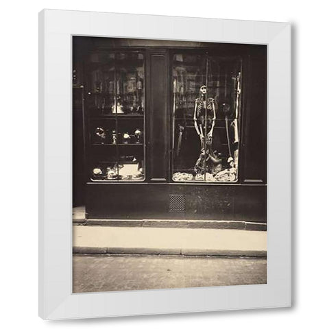 Zoologists Shop White Modern Wood Framed Art Print by Atget, Eugene