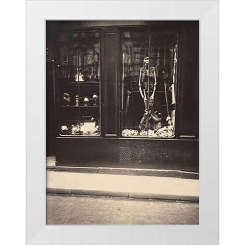 Zoologists Shop White Modern Wood Framed Art Print by Atget, Eugene