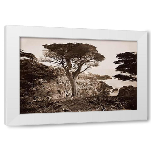 Cypress Point, Monterey, California, about 1880s White Modern Wood Framed Art Print by Watkins, Carleton