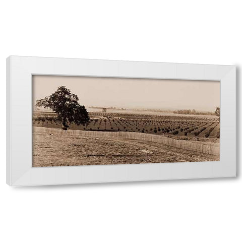 Young Orchard, Palermo, Butte County, California, 1888-1891 White Modern Wood Framed Art Print by Watkins, Carleton