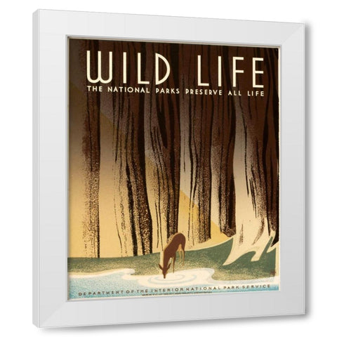 Wild Life; The National Parks Preserve All Life, ca. 1936-1940 White Modern Wood Framed Art Print by Nicholson, Frank S.