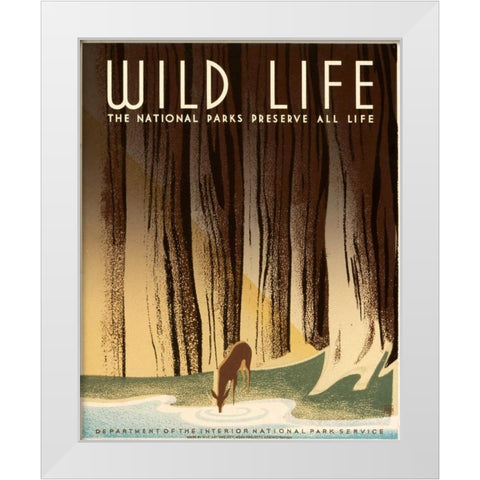 Wild Life; The National Parks Preserve All Life, ca. 1936-1940 White Modern Wood Framed Art Print by Nicholson, Frank S.
